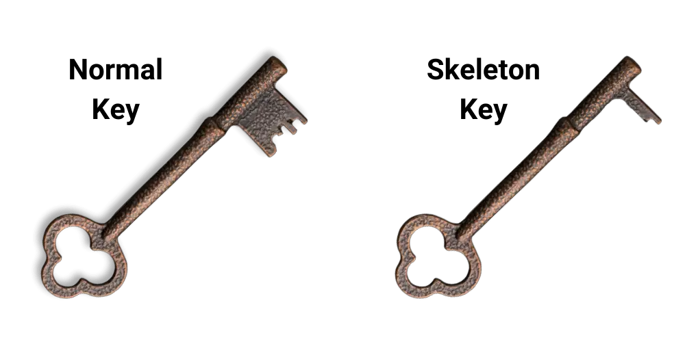 what does a skeleton key look like